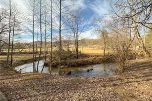 315 Mystic Ln, Blue Ridge, GA 30513 - Photo 36