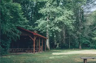 315 Mystic Ln, Blue Ridge, GA 30513 - Photo 54