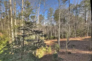 930 Power Dam Rd, Blue Ridge, GA 30513 - Photo 22