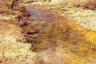 227 Fir Ln, Ellijay, GA 30540 - Photo 52