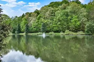 133 Muller Ln, Ellijay, GA 30540 - Photo 68