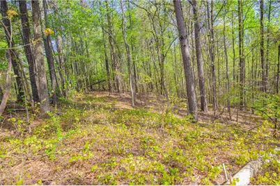0 Lake Esther Drive, Fairburn, GA 30213 - Photo 4