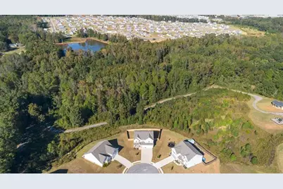 1171 Bodega Loop, Locust Grove, GA 30248 - Photo 52