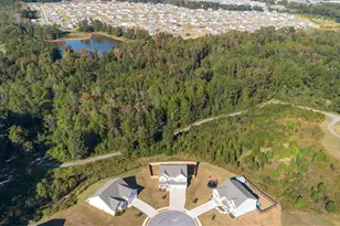 1171 Bodega Loop, Locust Grove, GA 30248 - Photo 52