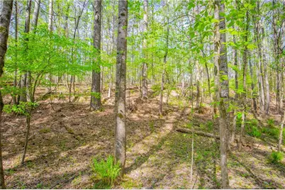 0 Lake Esther Drive, Fairburn, GA 30213 - Photo 8