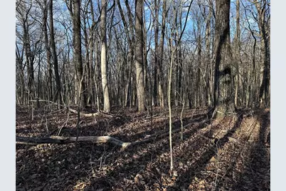 183 St Andrews Way, Ellijay, GA 30536 - Photo 6