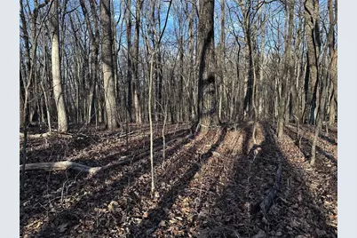 183 St Andrews Way, Ellijay, GA 30536 - Photo 14