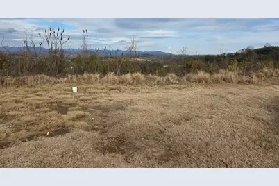 Lots Village Dr, Dahlonega, GA 30533 - Photo 6