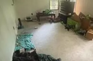 1184 Robert Hardeman Rd, Winterville, GA 30683 - Photo 18