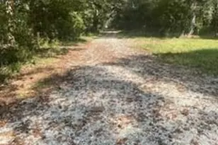 1184 Robert Hardeman Rd, Winterville, GA 30683 - Photo 6