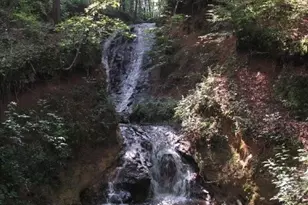 215 Valley View Rd, Ellijay, GA 30536 - Photo 42