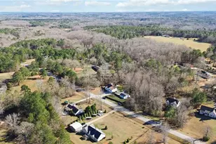 180 Harper Rd, McDonough, GA 30252 - Photo 54