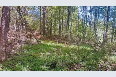 0 Williamson Road, Tallapoosa, GA 30176 - Photo 4