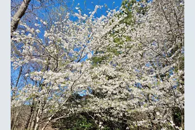 6509 Lily Trail, Fairburn, GA 30213 - Photo 80