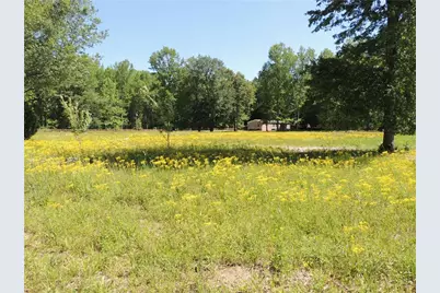 209 Horton Road, Dahlonega, GA 30533 - Photo 2