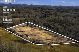 209 Horton Rd, Dahlonega, GA 30533 - Photo 4