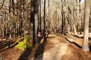 150 Highlands Forest Ln, Oxford, GA 30054 - Photo 60