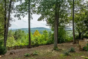 2191 Old Hwy 5, Blue Ridge, GA 30513 - Photo 4