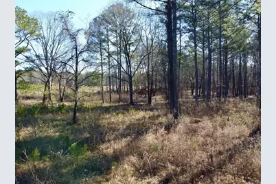 300 Old Social Circle Road, Mansfield, GA 30055 - Photo 14