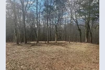 550 Baldwin Falls Road, Baldwin, GA 30511 - Photo 6