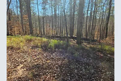 0 Glenn Road NE, Conyers, GA 30013 - Photo 2