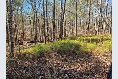 0 Glenn Road NE, Conyers, GA 30013 - Photo 4