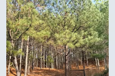 1573 Norris Lake Way, Snellville, GA 30039 - Photo 1