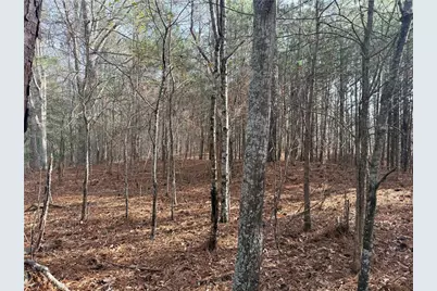 1573 Norris Lake Way, Snellville, GA 30039 - Photo 6