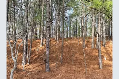 1573 Norris Lake Way, Snellville, GA 30039 - Photo 2