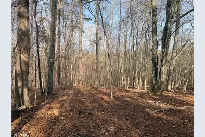 1573 Norris Lake Way, Snellville, GA 30039 - Photo 4