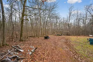 1062 Crown Landing Pkwy, McDonough, GA 30252 - Photo 4