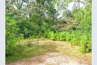 0 Laurel Drive, Louisville, GA 30434 - Photo 4