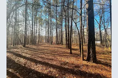 0 Old Stilesboro Road, Acworth, GA 30101 - Photo 8