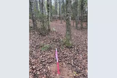 4795 Truman Mountain, Gainesville, GA 30506 - Photo 4