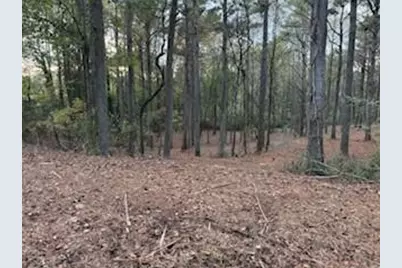 4795 Truman Mountain, Gainesville, GA 30506 - Photo 2