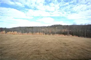 1450 Sunny Vly Ln, Braselton, GA 30517 - Photo 6