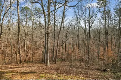 135 Oakland Court, Tallapoosa, GA 30176 - Photo 42