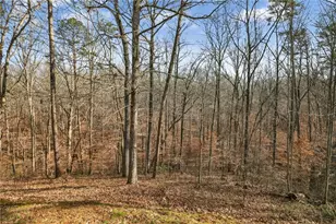 135 Oakland Ct, Tallapoosa, GA 30176 - Photo 42