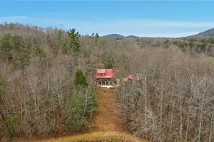 61 Bear Ridge Rd, Cleveland, GA 30528 - Photo 70