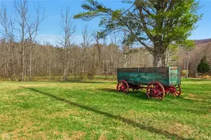 61 Bear Ridge Rd, Cleveland, GA 30528 - Photo 60