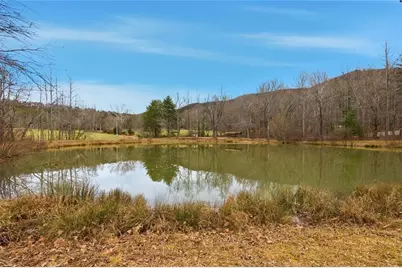 61 Bear Ridge Road, Cleveland, GA 30528 - Photo 8