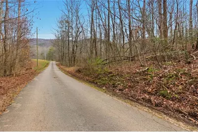 61 Bear Ridge Road, Cleveland, GA 30528 - Photo 56