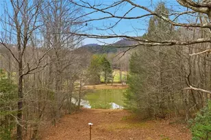 61 Bear Ridge Rd, Cleveland, GA 30528 - Photo 26