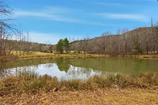 61 Bear Ridge Rd, Cleveland, GA 30528 - Photo 8