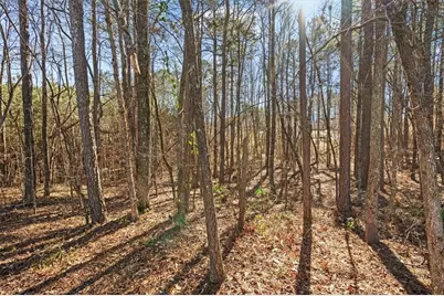 149 Muscadine Way, Carrollton, GA 30116 - Photo 58