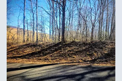 Tbd Cowart Mountain Tract 1 Road, Jasper, GA 30143 - Photo 2