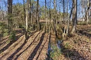 1122 Whispering Hills Dr, Bremen, GA 30110 - Photo 40