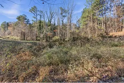 1122 Whispering Hills Drive, Bremen, GA 30110 - Photo 44