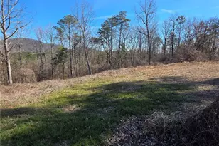 Tbd Cowart Mountain Tract 2 Rd, Jasper, GA 30143 - Photo 1