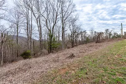 Tbd Cowart Mountain Tract 3 Road, Jasper, GA 30143 - Photo 8
